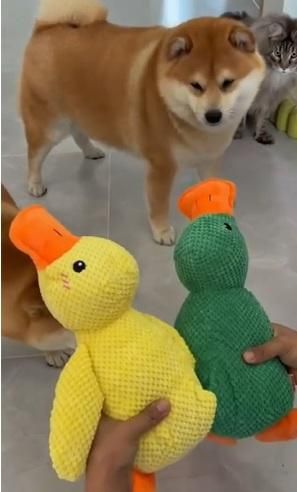 Stuffed Squeaky Plush  Dog Toy for Pets Engagement r3fvcs-m6
